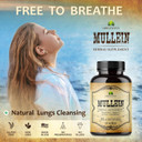 Mullein Leaf Extract For Lungs  Lung Detox For Smokers & Respiratory Support  Herbal Supplement For Lung Cleanse, Detox, And Digestive Wellness  Vegan, Non-Gmo, 100 Capsules