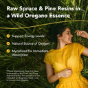 North American Herb & Spice O2Rega - 8 Oz - Natural Source Of Oxygen - Supports Energy Levels - P73 Oregano, Spruce & Pine - Mycellized For Maximum Absorption - Non-Gmo - 16 Servings