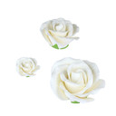 O'Creme Garden Roses Gumpaste Flower Set - White Edible Flowers For Cake Decorating - Sugar Paste Flowers For Cakes, Candy, Cupcake Toppers - Birthday, Wedding, Valentines, Baby Shower