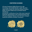 O'Creme Peony Gumpaste Sugar Flower 6 Inch, Set Of 3 White - Edible Flowers For Cake Decorating - Sugar Paste Flower Decorations For Cakes, Cupcake Toppers - Birthday Party, Wedding, Valentines Day