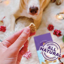 Old Mother Hubbard Wellness Minty Fresh Breath Dog Biscuits, Natural, Training Treats, Spearmint, Parsley, Oats, & Chicken Flavor, Mini Size, (20 Ounce Bag)