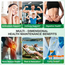 Oregano Oil Softgels With Black Seed Oil, 600 Softgel Organic Oregano Oil Capsules, High Carvacrol, Immune & Antioxidant Support