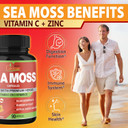 Organic Cadane Irish Sea Moss Extract Capsules - 9In1 With Vitc, Vitd, Bladderwrack, Burdock Root, Elderberry & More - Supports Immune System & Overall Health - 90Capsules