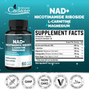 Organic Cadane Nicotinamide Riboside Supplement With L-Carnitine, Magnesium Glycinate, Ashwagandha, Black Pepper | Cellular Health & Wellness Support | Vegan, Non-Gmo  60 Capsules  30-Day Supply