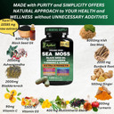 Organic Irish Sea Moss, Black Seed Oil, Ashwagandha, Turmeric,Ginger Capsule, Bladderwrack, Burdock, Vit C&Vit D3, Elderberry, Manuka Honey, Dandelion, Yellow Dock, Apple Cider Vinegar, Halal, Vegan