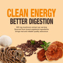 Organic Mushroom Coffee  30% Beta-Glucans, Arabica Instant Coffee Infused With Fungipure Mushrooms - Lions Mane, Reishi, Turkey Tail, 72 Grams - 36 Servings