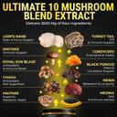 Organic Mushroom Complex With Shilajit & Coconut Oil - LionS Mane Mushroom Supplement With Ashwagandha And L-Theanine - Mushroom Nootropic For Memory, Focus & Immune Mushroom Capsules Softgels