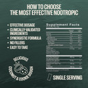 Orlo Brain Performance Bar  Vegan Protein Bars For Brain & Energy Support  Focus & Memory, Pre & Post Workout Recovery  Gluten Free Snack With L-Theanine, Lions Mane, Spirulina & More (12 Bars)