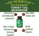 Peak Performance Organic Turkey Tail Capsules - Usa Grown Made With Real Turkey Tail Mushroom. Immune System Support Naturally Harvested Mushroom Supplements For Immunity. Vegan Supplement Extract