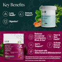 Power Gut Bundle - Lung Probiotic & Glp-1 Prebiotic, Clinically Trialed Respiratory Health Support & Metabolism Boost, Supplement Vitamins - Resb (30 Servings) & Prebeet (30 Servings)