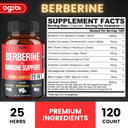 Premium Berberine Supplement With Ceylon, Ashwagandha, Turmeric, Milk Thistle, Elderberry & Black Pepper - Supports Immune System, Cardiovascular & Gastrointestinal - 60 Capsules