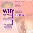 Prenatal Choline Supplement, 500Mg, With Inositol, B1, B6, Brain Development In Utero/Early Life, Increase The Choline Content In Breast Milk,30 Day Supply