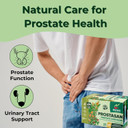 Prostasan Prostate Blend - Herbal Tea Annatto Leaves (Achiote), Humanpinta, Cat'S Claw (Uña De Gato), Horsetail (Cola De Caballo) And Soldier'S Herb (Matico) - 25 Teabags From Peru For Prostate Care