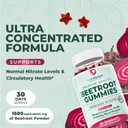 Purepremium Beet Root Gummies - 60 Sugar Free Chews (50:1 Equivalent 1500 Mg) - Super Nitric Oxide Beetroot Gummies With Natural Blueberry Flavor - Supplements For Normal Blood Pressure
