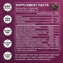 Quercetin Gummies With Bromelain 2378Mg - Blend With Elderberry, Echinacea Purpurea Extract, Zinc, Vitamin C,D3,K2, Complex Supports Immune, Cardiovascular & Respiratory, Vegan Gummy For Adult & Kid