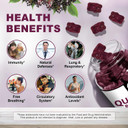 Quercetin Gummies With Bromelain 2378Mg - Blend With Elderberry, Echinacea Purpurea Extract, Zinc, Vitamin C,D3,K2, Complex Supports Immune, Cardiovascular & Respiratory, Vegan Gummy For Adult & Kid