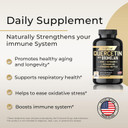 Quercetin With Vitamin C And Zinc - Quercetin 500Mg - Quercetin With Bromelain - Zinc Quercetin - Stinging Nettle -240 Veggie Caps. Quercetin Supplements + Vitamin D3 (Non-Gmo, Gluten-Free, Vegan)