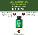 Raw Whole Food Iodine Supplement From Organic Kelp (Ascophyllum Nodosum) By Peak Performance. Potassium Iodide Support Tablets. For Metabolism, Energy, And Immune. 120 Vegan Capsules, Pills