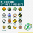 Real Time Pain Relief Pet Formula - 4Oz Spray Bottle | Vet Recommended Relief For Pets | 16 Natural Ingredients Including Menthol, Aloe Vera, And Arnica | Gentle Cooling Sensation | Easy Application