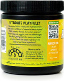 Redmond Re-Lyte Kids Hydration Electrolyte Mix Powder, Pineapple 7.62 Oz