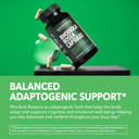 Rhodiola Rosea Supplement - Herbal Adaptogen For Mental And Physical Performance Support (3% Salidrosides, 3% Rosavins Extract) - 120 Count - Vegan, Non-Gmo, And Gluten-Free Capsules - 4 Month Supply