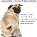 Rx Vitamins For Pets Nutrigest For Dogs & Cats - Helps Support Proper Bowel & Digestive Health - Veterinarian Formulated Probiotic - Powder 132G