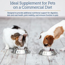 Rx Vitamins Nutritional Support For Dogs & Cats - Nutrient-Filled Food Supplement Powder - Veterinarian Formulated - 9.07 Oz Powder