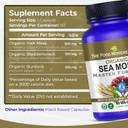 Sea Moss Master Formula With Burdock Root & Bladderwrack For Gut Health | Organic Vegan Supplement For Women & Men | Irish Sea Moss Blend For Optimal Well-Being (60)