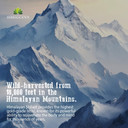 Shilajit For Men  8-In-1 Adaptogenic Supplement With Ashwagandha, Cordyceps, Ginseng, Rhodiola, Turmeric, Chaga & Ginger  Natural Energy, Stress Relief & Immune Support  120 Vegan Capsules