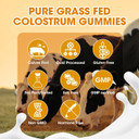 Sugar-Free Bovine Colostrum Supplement Gummies,Grass-Fed Colostrum For Women &Men, Gut Health, Immunity, Cognitive, Orange Flavor 60 Gummies With 40% Igg