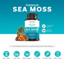 Thomas' All-Natural Remedies Irish Sea Moss Capsules, Sea Moss With Bladderwrack & Burdock Root Organic For Gut Health, Digestion, Energy & Immune Support, 120 Seamoss Pills