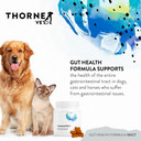 Thornevet Gut Health Formula  Gastrointestinal Support For Dogs, Cats & Horses, 180 Scoops