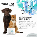 Thornevet Liver Support Powder  Liver Support For Small Animals: Dogs & Cats, 90 Scoops