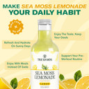 Trueseamoss Pina Colada Sea Moss Lemonade  Coconut Pineapple Infused Sea Moss Drink  Vegan & Tropical Hydration  4 X 12 Fl Oz Bottles  Made In Usa