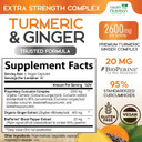 Turmeric Supplement Curcumin 2600Mg - With Organic Ginger & Turmeric, Bioperine Black Pepper Extract 95% Curcuminoids - Advanced Absorption Antioxidant & Joint Support - Vegan - 180 Capsules