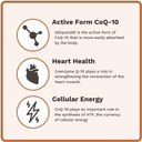 Ubiquinol Heart Health & Energy Support And Triberine