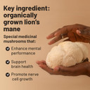 Vegan Vitality Lions Mane Supplement Capsules - Nootropic Brain Support Supplement, Lions Mane Mushroom Extract Capsules - 120 Vegan Bacopa Monnieri, Gotu Kola, Ginseng