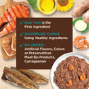 Wellness Core Signature Selects Flaked Adult Wet Cat Food, Natural, Protein-Rich, Grain Free, 5.3 Ounce, 12 Pack (Seafood Variety Pack)