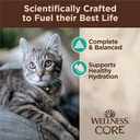 Wellness Core Tiny Tasters Pate Adult Wet Cat Food, Natural, Protein-Rich, Grain Free, 1.75 Ounce Pouch, 12 Pack (Chicken & Turkey)