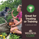 Wellness Core Tiny Trainers Dog Treats, Natural, Training Treat, Grain Free, Lamb & Apple (6 Ounce Bag)