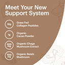 Wellthy Collagen Superfood Powder, Fights Stress & Fatigue, Cacao, Mushroom Powder - Organic Chaga & Reishi Extracts, Certified Organic Matcha, Allergen-Free & Non-Gmo
