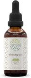 Wheatgrass B120 Alcohol-Free Herbal Extract Tincture, Concentrated Liquid Drops Natural Wheatgrass (Triticum Aestivum) Dried Leaf (4 Fl Oz)