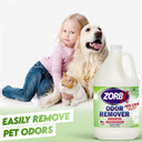 Zorbx Bundle Of Odor Remover Sprays And Refill Solution - Perfect Solution For Funky And Foul Smells - All-Purpose Deodorizer Bundle - Includes 5 Odor Remover Sprays (2 Oz) & Refill Solution (1/2 Gal)