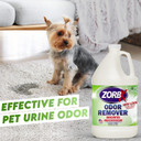 Zorbx Bundle Of Odor Remover Sprays And Refill Solution - Perfect Solution For Funky And Foul Smells - All-Purpose Deodorizer Bundle - Includes 5 Odor Remover Sprays (2 Oz) & Refill Solution (1/2 Gal)