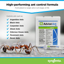 Syngenta Advion Ant Gel 4 tubes 30 grams each
