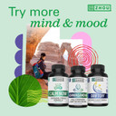 Zhou Neuro-Peak - Brain Supplements for Memory and Focus, Nootropic for Men & Women, Brain Support Pill for Adults, Brain Vitamins - 30 Veggie Capsules (Pack of 1)