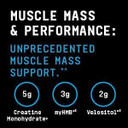 BEYOND RAW Dynamic Gainer | High-Tech Mass Gainer | Optimized Absorption, Enhanced Strength, and Joint Stability | Chocolate Éclair | 15 Servings