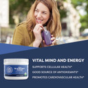 Vimergy Wild Blueberry Powder –Protects Brain Health* - Supports Cardiovascular Function* – Organic, Vegan & Gluten-Free – Trial Size