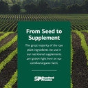 Standard Process Inc. Enzycore - 150 Capsules