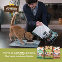 Rachael Ray Nutrish Purrfect Entrees Wet Cat Food, Variety Pack,2 Ounce Cup